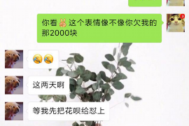 邵阳工资清欠服务